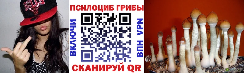 продажа наркотиков  Улан-Удэ  Псилоцибиновые грибы GOLDEN TEACHER 